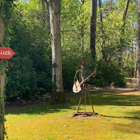 Le Petit Poulailler Au Beau Milieu Des Pins Villa Lacanau Kültér fotó