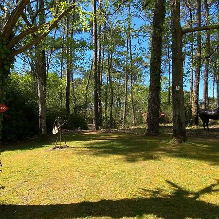 Le Petit Poulailler Au Beau Milieu Des Pins Villa Lacanau Kültér fotó