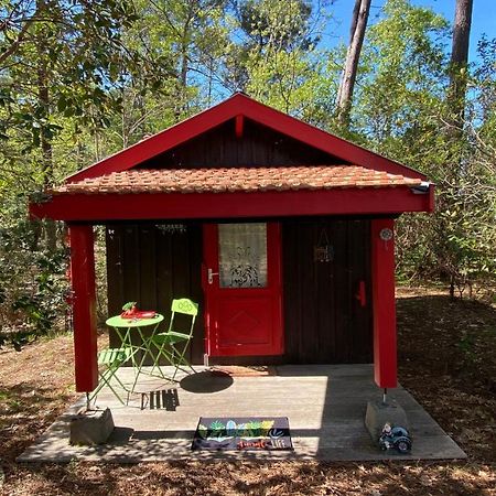 Le Petit Poulailler Au Beau Milieu Des Pins Villa Lacanau Kültér fotó
