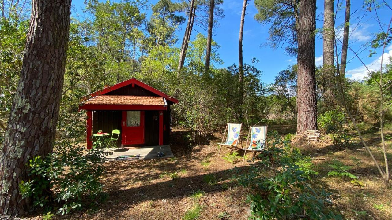 Le Petit Poulailler Au Beau Milieu Des Pins Villa Lacanau Kültér fotó