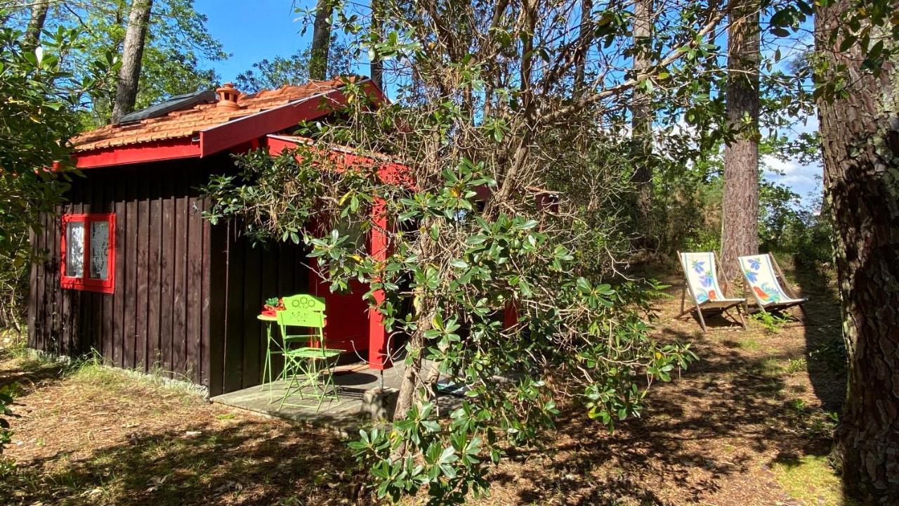 Le Petit Poulailler Au Beau Milieu Des Pins Villa Lacanau Kültér fotó
