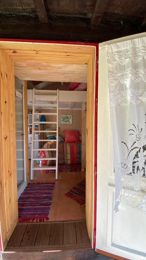 Le Petit Poulailler Au Beau Milieu Des Pins Villa Lacanau Kültér fotó