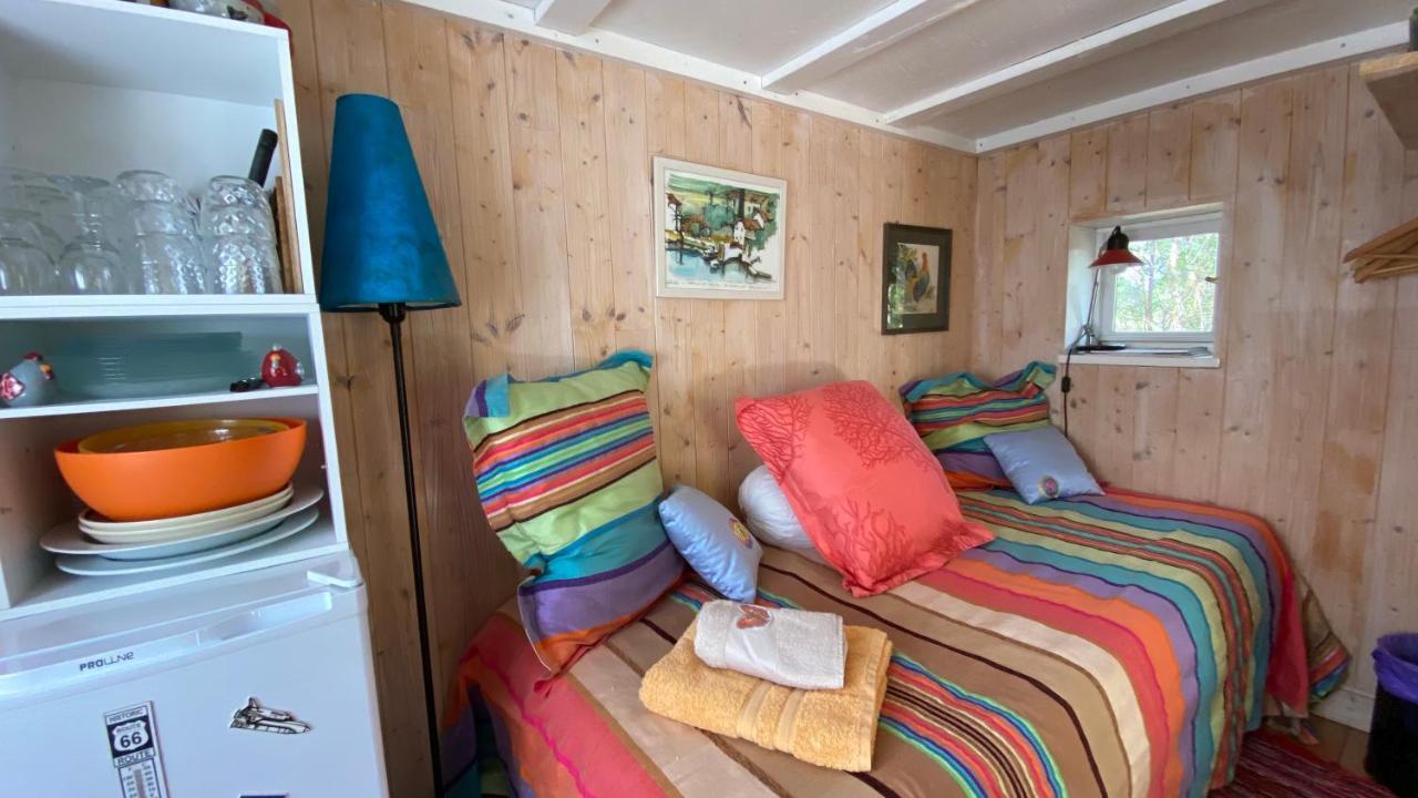 Le Petit Poulailler Au Beau Milieu Des Pins Villa Lacanau Kültér fotó