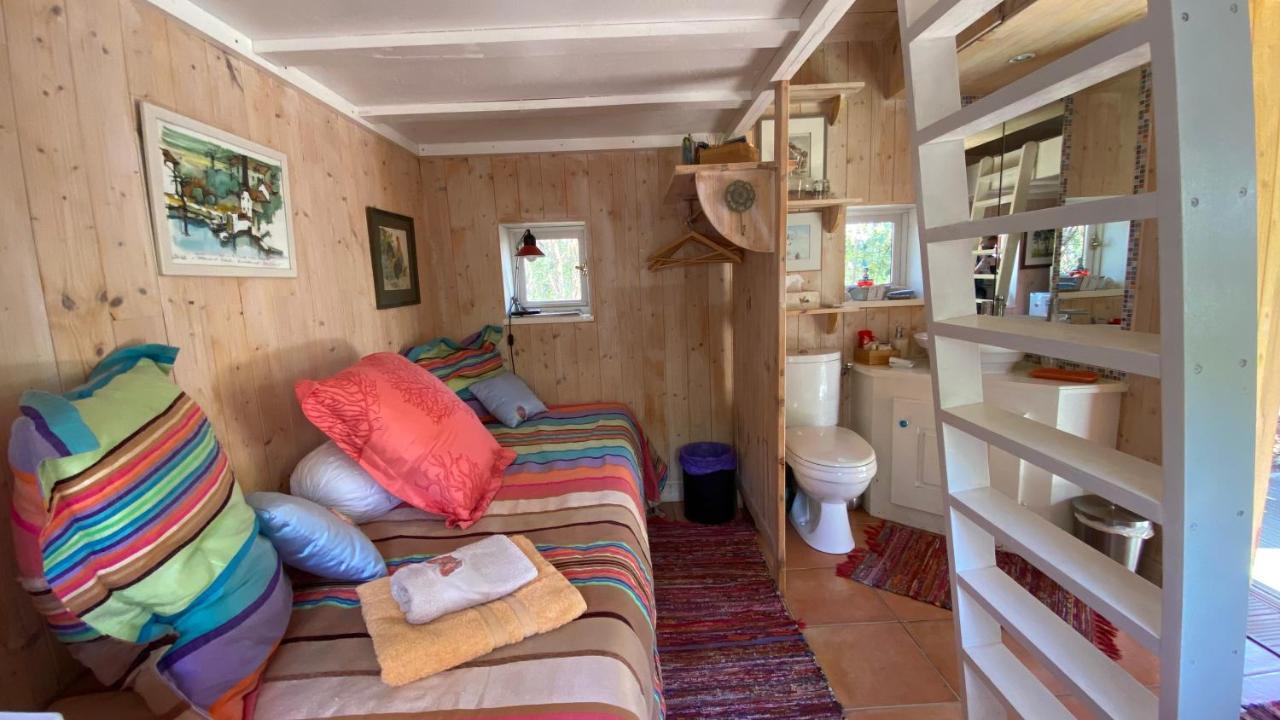 Le Petit Poulailler Au Beau Milieu Des Pins Villa Lacanau Kültér fotó