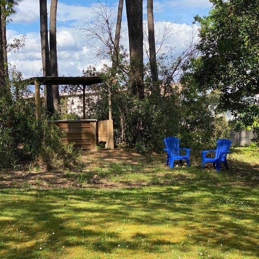 Le Petit Poulailler Au Beau Milieu Des Pins Villa Lacanau Kültér fotó