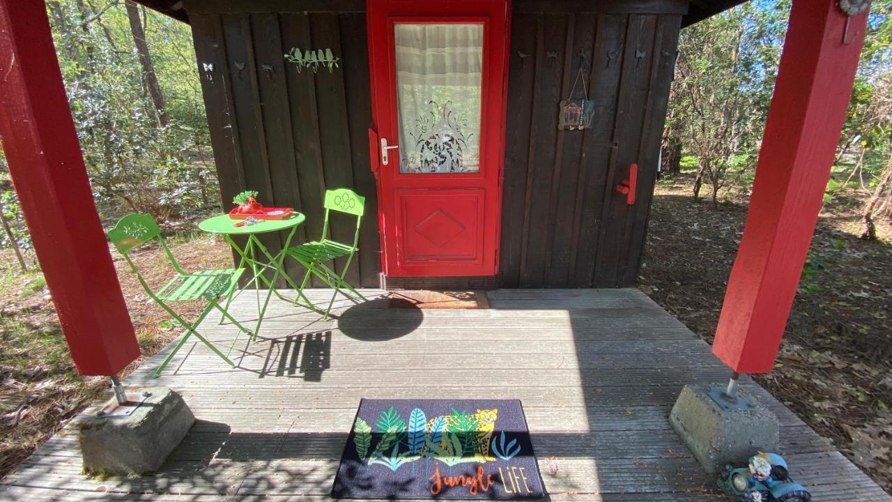 Le Petit Poulailler Au Beau Milieu Des Pins Villa Lacanau Kültér fotó
