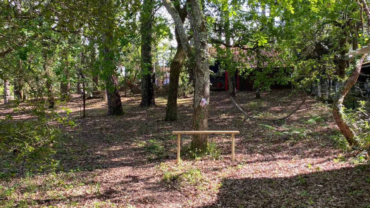Le Petit Poulailler Au Beau Milieu Des Pins Villa Lacanau Kültér fotó