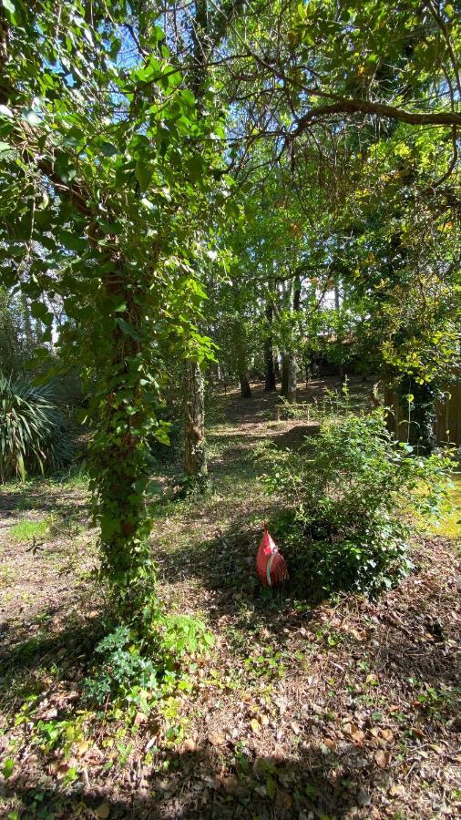 Le Petit Poulailler Au Beau Milieu Des Pins Villa Lacanau Kültér fotó