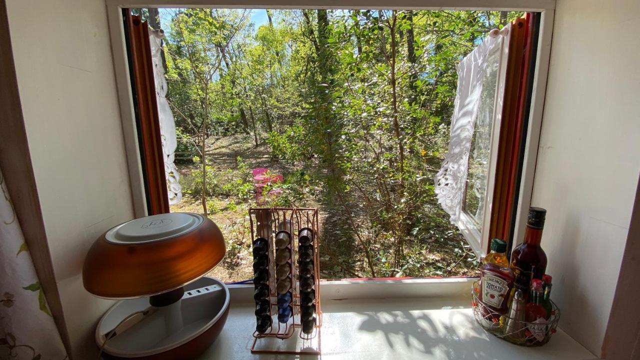 Le Petit Poulailler Au Beau Milieu Des Pins Villa Lacanau Kültér fotó