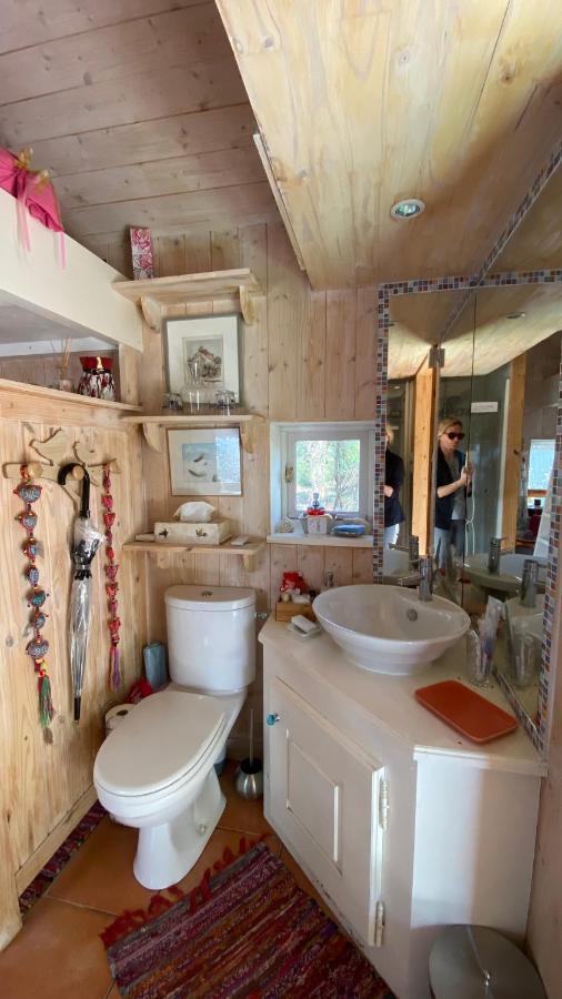 Le Petit Poulailler Au Beau Milieu Des Pins Villa Lacanau Kültér fotó