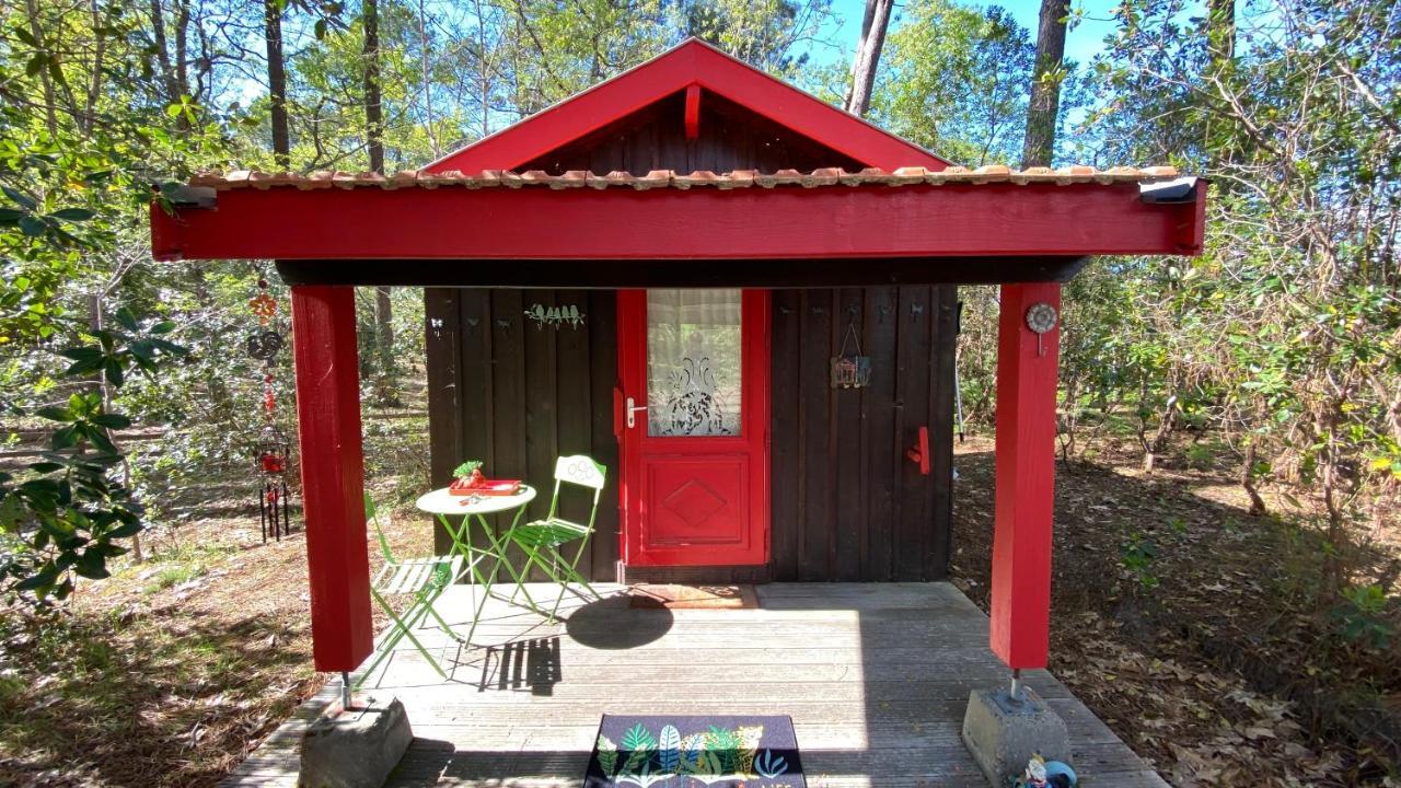 Le Petit Poulailler Au Beau Milieu Des Pins Villa Lacanau Kültér fotó