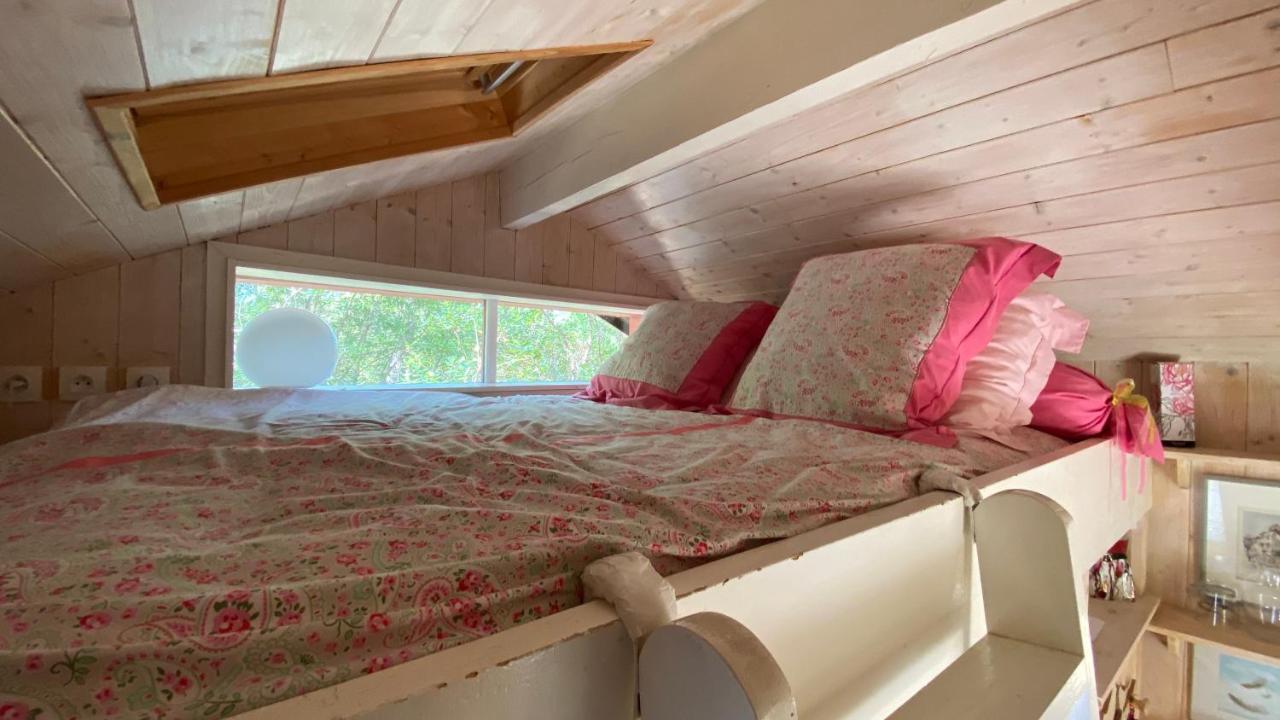 Le Petit Poulailler Au Beau Milieu Des Pins Villa Lacanau Kültér fotó