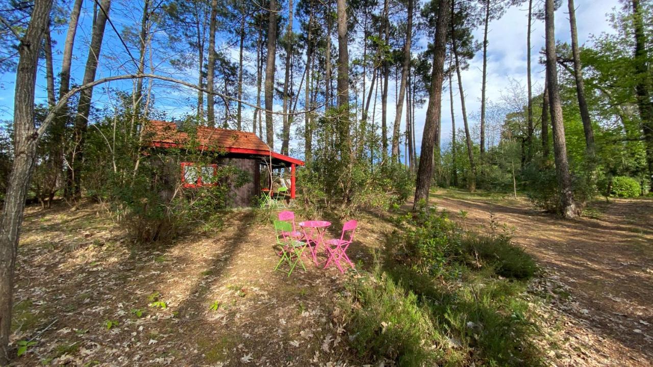 Le Petit Poulailler Au Beau Milieu Des Pins Villa Lacanau Kültér fotó