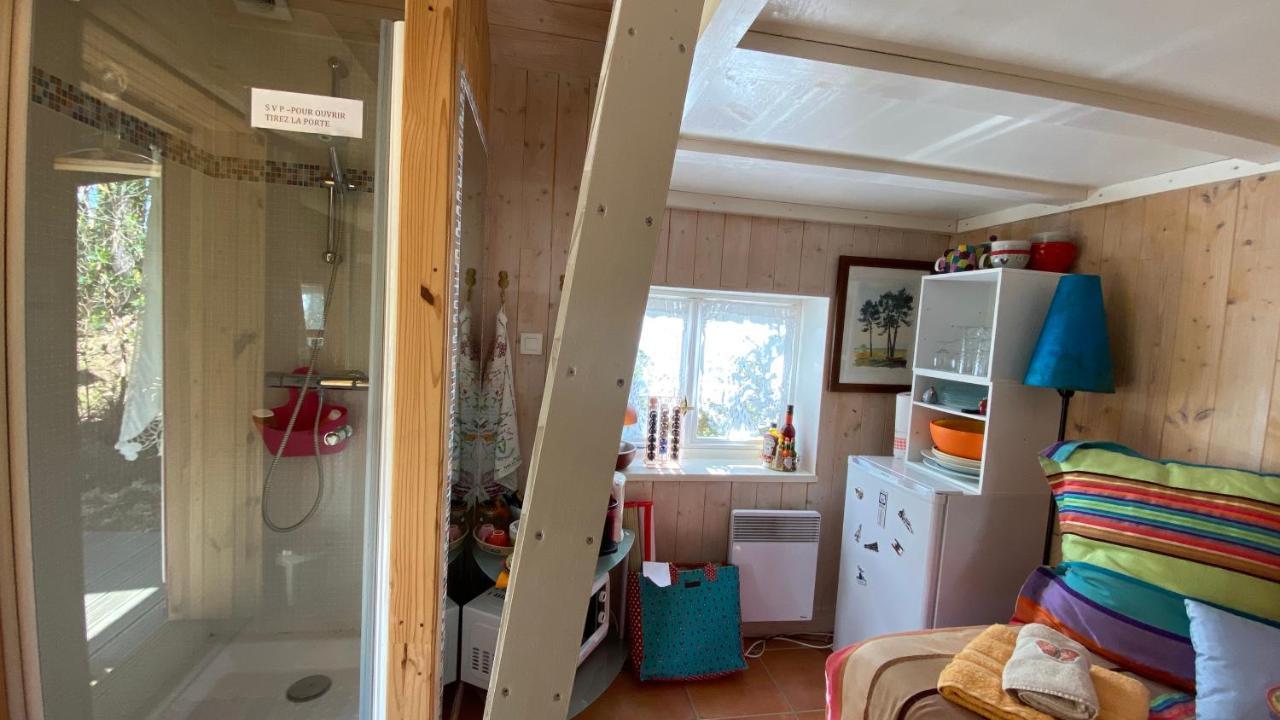 Le Petit Poulailler Au Beau Milieu Des Pins Villa Lacanau Kültér fotó