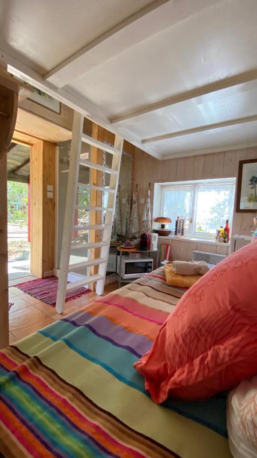 Le Petit Poulailler Au Beau Milieu Des Pins Villa Lacanau Kültér fotó